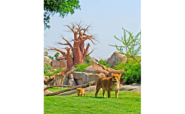 Bioparc Valencia