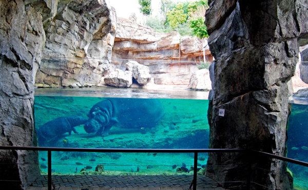 Bioparc Valencia