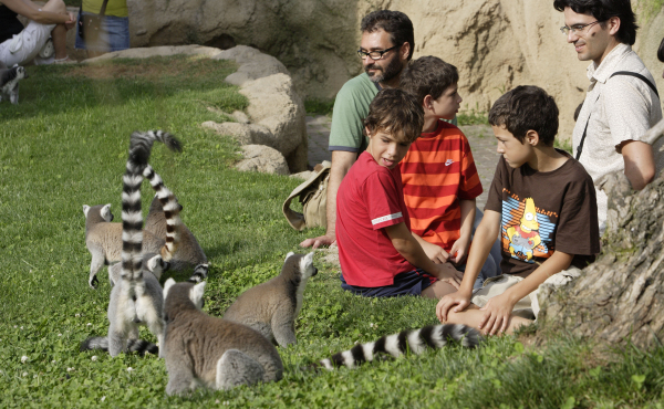 Bioparc Valencia