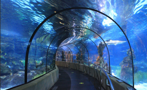 L’Aquàrium de Barcelona