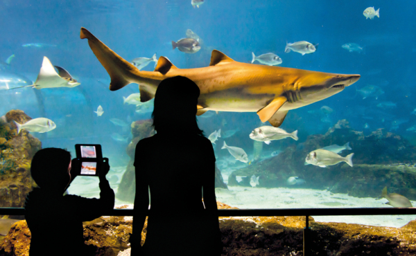 L’Aquàrium de Barcelona