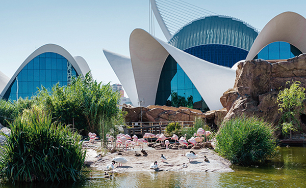 Oceanogràfic (Valencia)