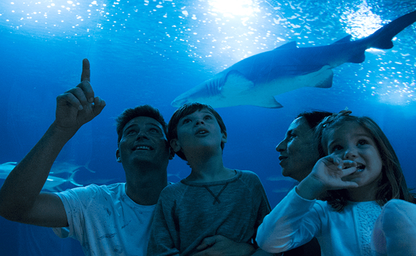 Oceanogràfic (Valencia)