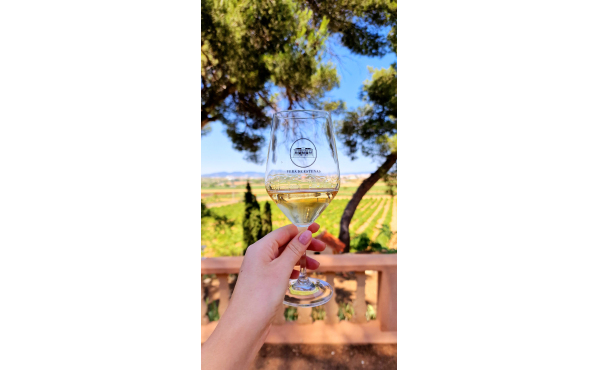 Ruta del Vino Utiel-Requena Bilingüe desde Valencia
