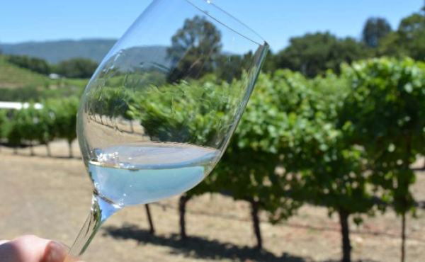 Ruta del Vino Utiel-Requena Bilingüe desde Valencia