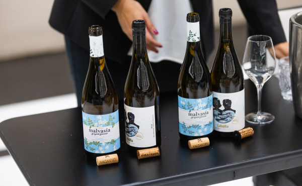 Ruta del Vino Utiel-Requena Bilingüe desde Valencia