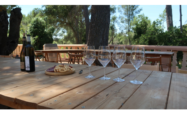 Ruta del Vino Utiel-Requena Bilingüe desde Valencia