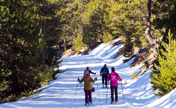 Naturland (Andorra)