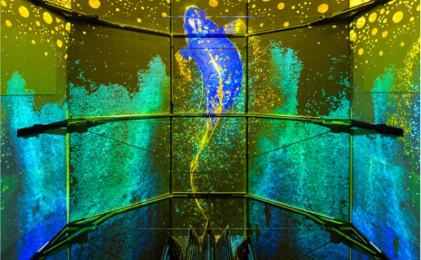Flow: Una nueva experiencia inmersiva en Madrid